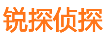 兴县市侦探公司